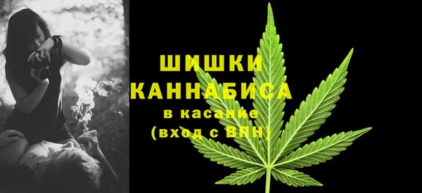 ешки Богданович