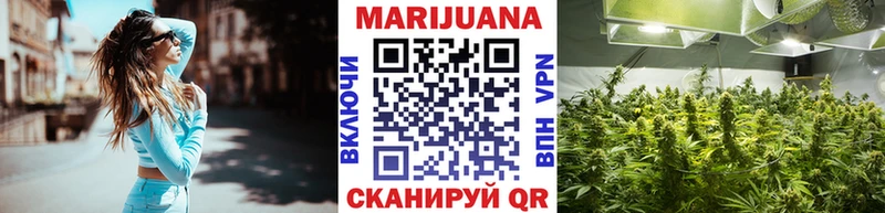 Купить закладки  Новый Оскол  Бошки марихуана White Widow 